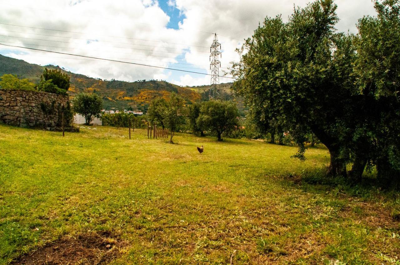 Holiday home Quintinha Vicosa *